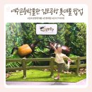 나비옷장 | 김포공항 롯데몰 아이랑 가볼만한 곳｜여주곤충박물관 팝업 전시 후기·체험·주차 정보
