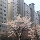 부대찌개동촌 이미지