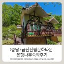 산림놀이 | [ 금산 ] 금산산림문화타운 ( 남이자연휴양림 ) 은행나무방 숙박후기 , 아이와 함께 목재문화체험 가능한곳