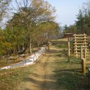 망운산 등산로 이미지