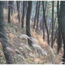 솔향기길 나오리공방 이미지