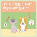 호계동물병원 이미지