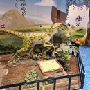 아이신나 키즈카페 이미지