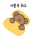 아이벨라 이미지