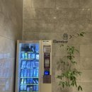 스카이베이 부근 이미지