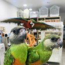 가든조류원 이미지