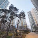 힐스테이트평택 1차아파트 이미지