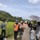 [수성구청] 생각을 담는 정원 이미지