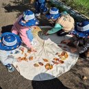 정읍사공원 이미지