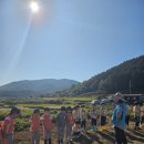 옥포초교병설 이미지