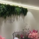 신흥로 190-1 | [부천돌잔치] 분위기·음식·포토존까지 모두 완벽했던 쎄쎄쎄 부천점 방문 후기