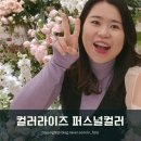 나만의 퍼스널컬러를 찾아서 | 나의 컬러를 찾아서! - 퍼스널컬러 강남 컬러라이즈 내돈내산 후기(겨울 쿨톤 딥)