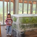 구목씨의 휴식 이미지