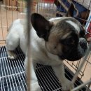 상리2길 이미지