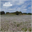 성읍리-24 이미지