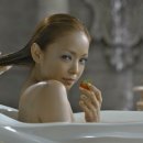 고저스 Daum카페