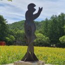 태백의 향연 이미지