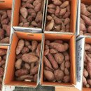 안금농장 이미지