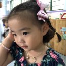 리안농장 이미지