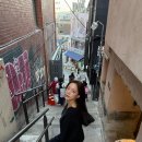 세정갤러리 스타패션