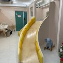 금당로69번길 | [공지] 📸 아로하풀 X 해피하루스냅 콜라보 이벤트