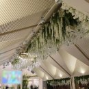 연희장 | [웨딩홀투어 3💒] 더메리든 투어후기 (계약O)_26년도 5월 견적 공유_장점밖에 없음.