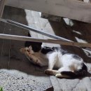 통영오아시스 이미지