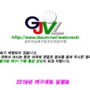 2018 생활체육 배구대회 일정표(1월 18일 현재) 이미지