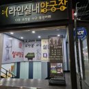 라인양궁장 이미지