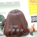 헤어닥 이미지