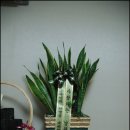 경호네