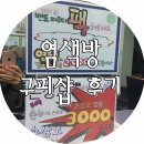 구피샵청주 이미지