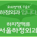 전주서울하정외과의원 Daum카페
