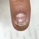 푸스케어 수원호매실점 이미지