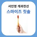 엔트크리닝 | 개과천선 서인영 유튜브 스마이즈 그래핀모 칫솔 3.5 오리지널 정보