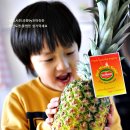 골드파인 이미지