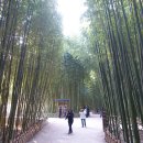 설연휴 26.2.14(토)~2.17(화)3박4일/포항,울산,경주여행 신청하세요 이미지