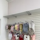 유지네 애견미용샵 | 수원애견미용 가위컷 전문, 디어펫살롱 섬세한 스타일링 후기