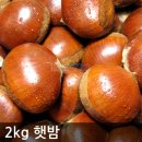 밤
