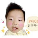 몽키청과