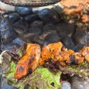 소양강닭갈비막국수 이미지