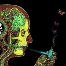 Trippy 이미지