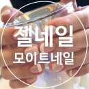 모이트네일 이미지
