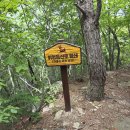 백운산(891m) 경남 밀양 260725(토) 맑음 이미지