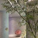 모토스킨 | 청담피부과 스킨부스터 셀르디엠 후기 ECM 부스터 콜라겐 주사 내돈내산 1주차 리뷰