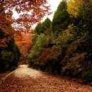 송곡고등학교 이미지