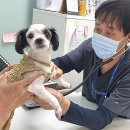 수정위례-D-7 이미지