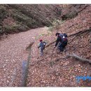 천곡사 계곡 이미지