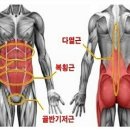 제이코어 이미지