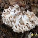 꼴짝농장 이미지